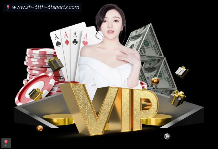 6T体育全站APP