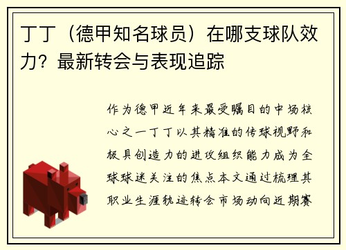丁丁（德甲知名球员）在哪支球队效力？最新转会与表现追踪